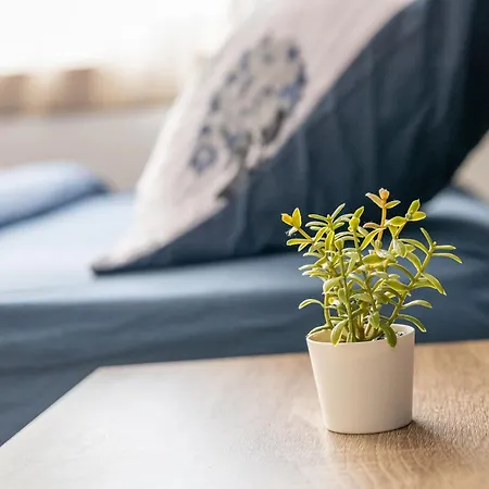 Apartment Rio